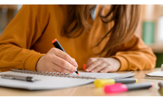 Online Program Testing